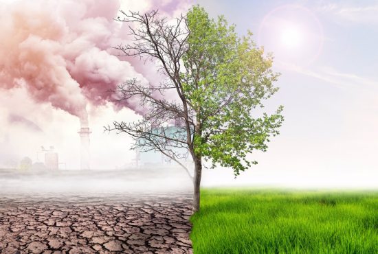 16-09-2021 Frenar el cambio climático depende de nosotros
SOCIEDAD
ISTOCK
